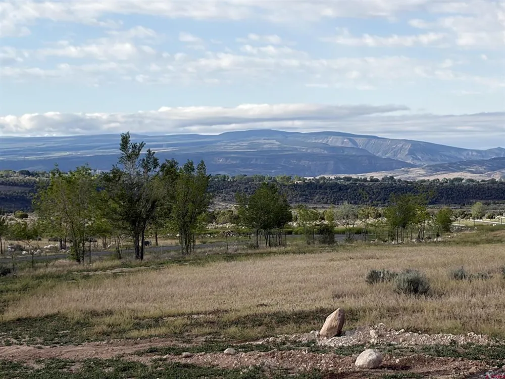 15887 Stardust Lane Cedaredge, CO 81413