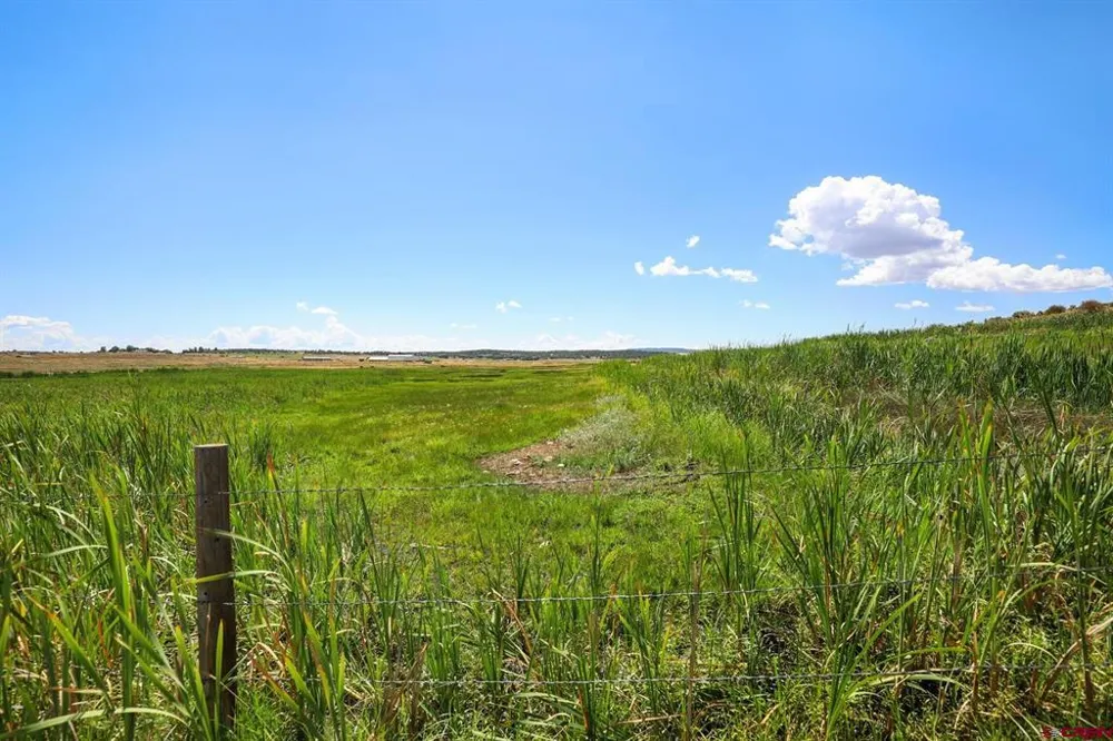 262 Oxford Meadows Drive Ignacio, CO 81137