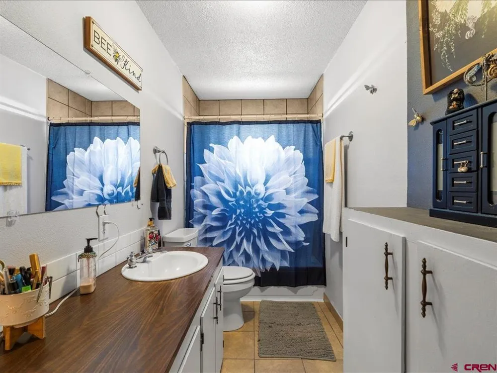 22244 F ROAD Delta, CO 81416