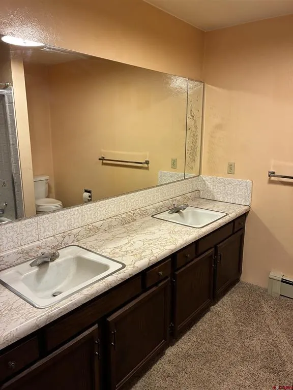 315 Elm Street Sanford, CO 81151