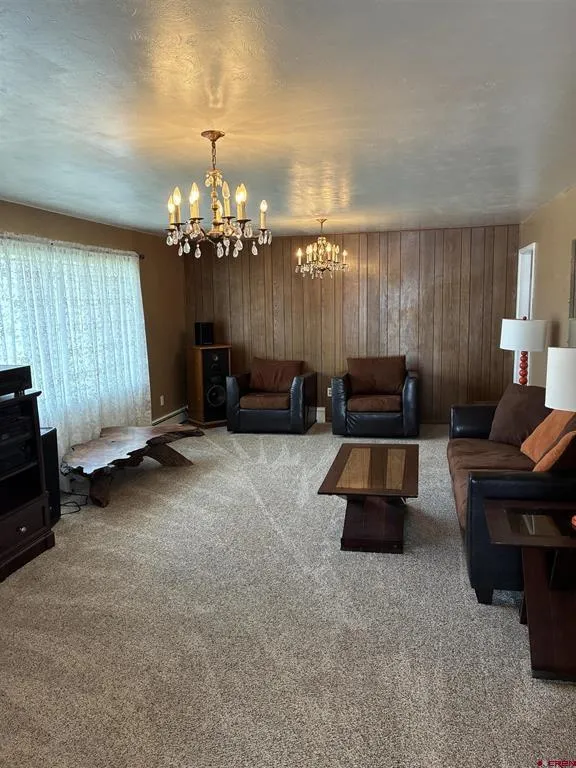 315 Elm Street Sanford, CO 81151