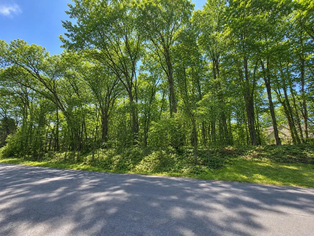 V/L Stoney Creek Drive Augusta, MI 49012