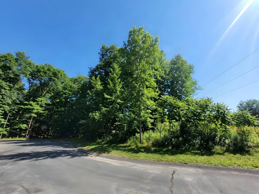 7336 Pin Oak Circle Augusta, MI 49012