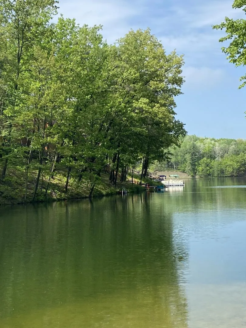8670 Island Drive #Lot 32 and 33 Canadian Lakes, MI 49346