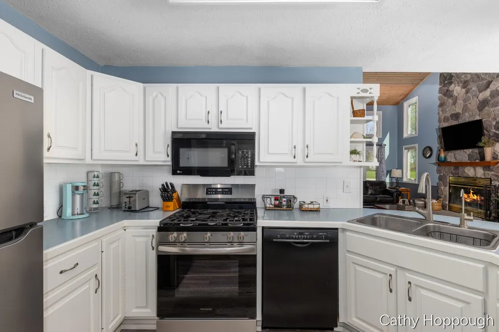 229 Ivason Drive Stanton, MI 48888