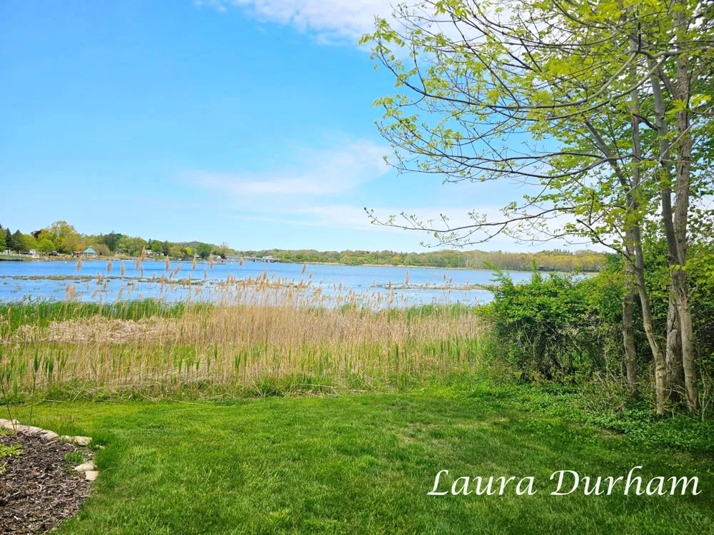 289 Crest Douglas, MI 49406