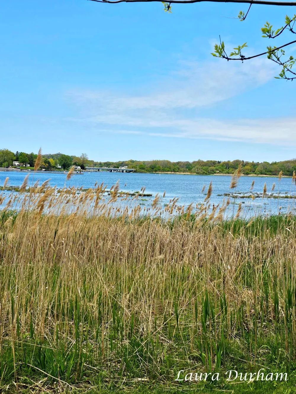 289 Crest Douglas, MI 49406