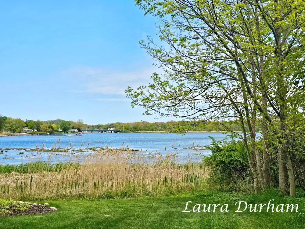 289 Crest Douglas, MI 49406