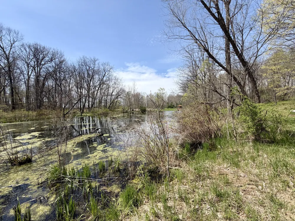 7805 W XY AVENUE Schoolcraft, MI 49087