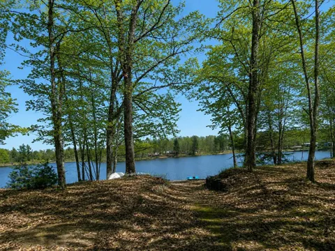 10746 Beaver Trail