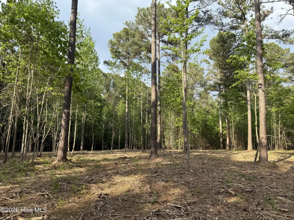 000 Tbd Lancaster Store Road Road Spring Hope, NC 27882