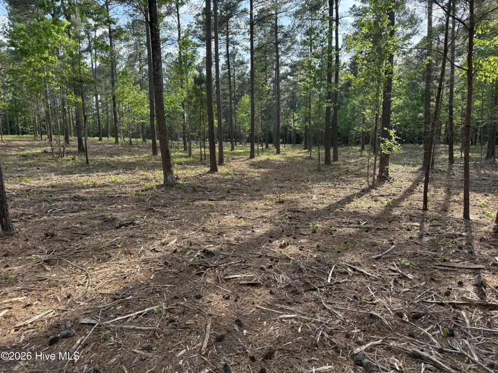 000 Tbd Lancaster Store Road Road Spring Hope, NC 27882