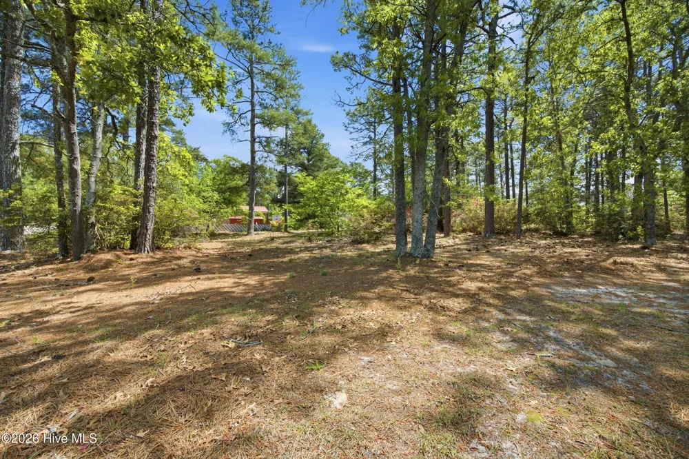 1205 Rollins Avenue Hamlet, NC 28345
