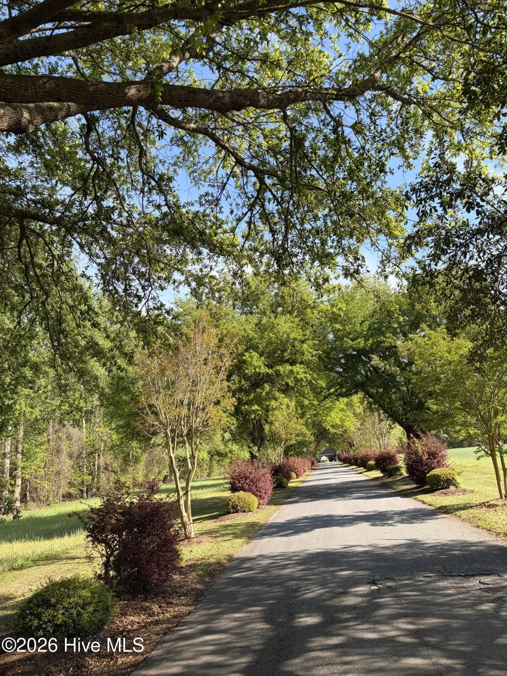 0 Island Drive Chocowinity, NC 27817