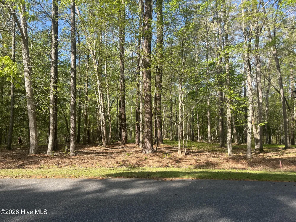 0 Island Drive Chocowinity, NC 27817