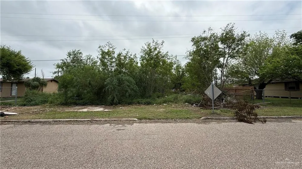 425 Magnolia Street La Villa, TX 78572