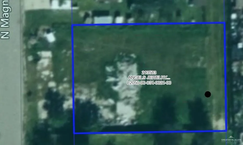 425 Magnolia Street La Villa, TX 78572