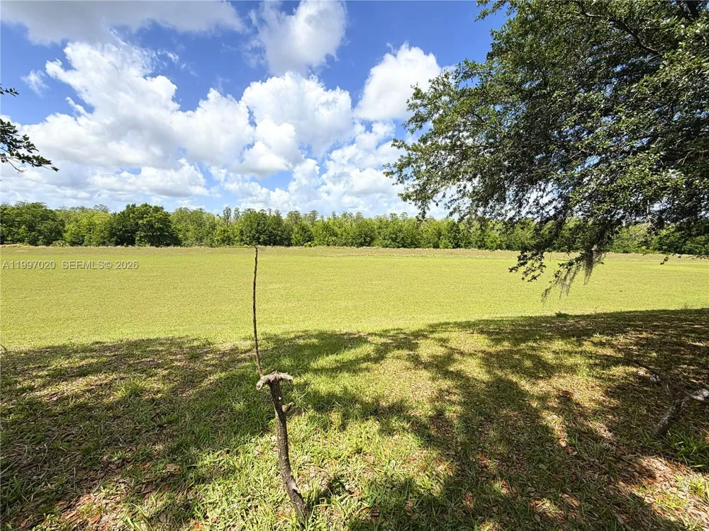 233 Aldridge Ln Davenport, FL 33897