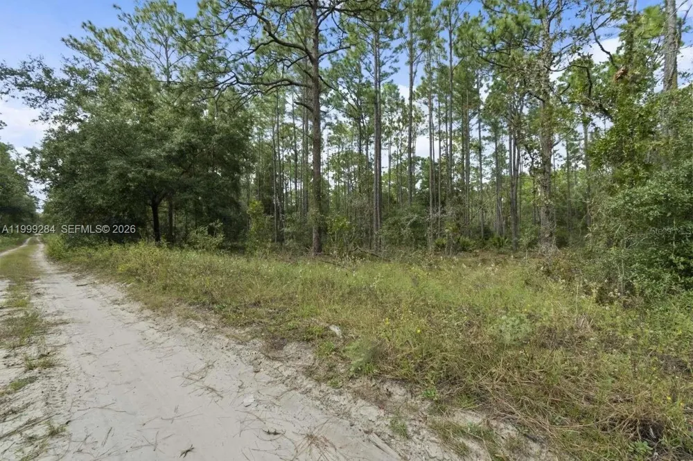 SW 30th ST ocala, FL 34481