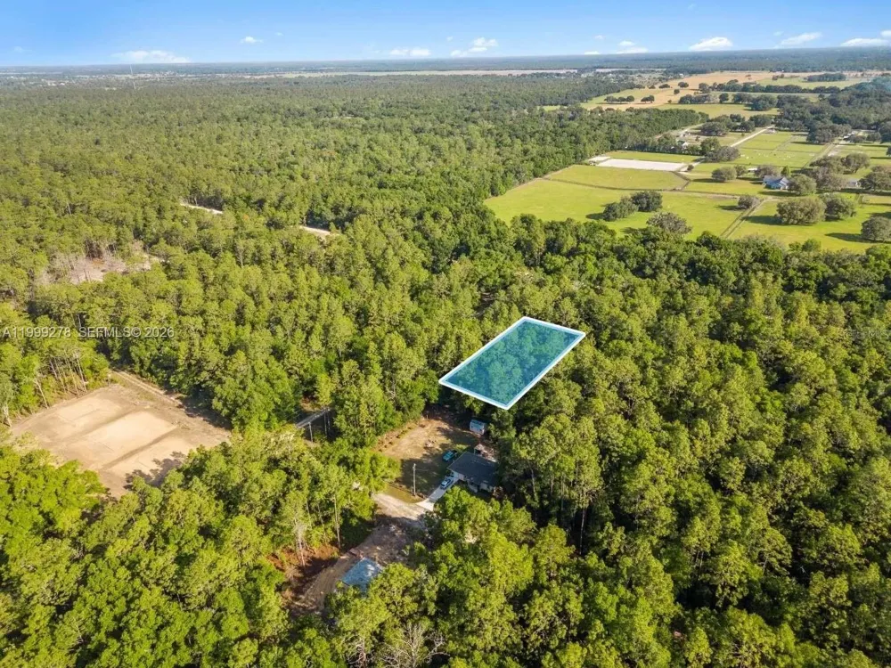 SW 9th Place ocala, FL 34481