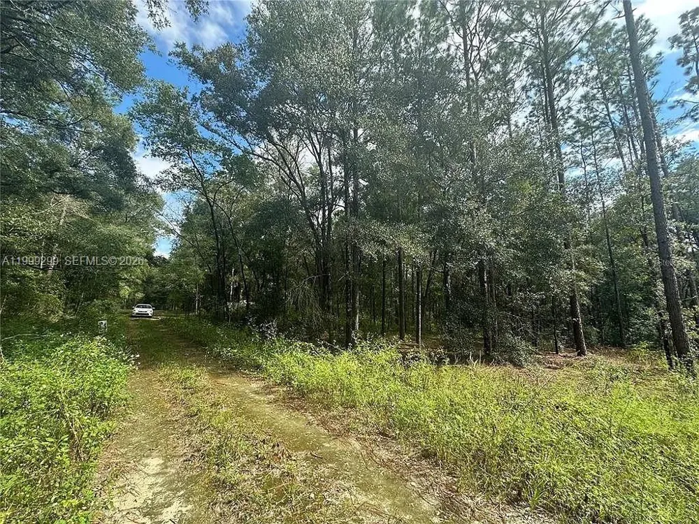 SW 153rd AVE ocala, FL 34481