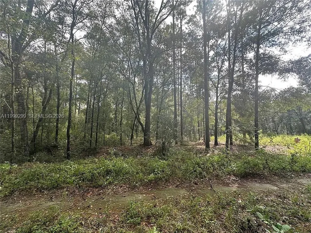 SW 153rd AVE ocala, FL 34481