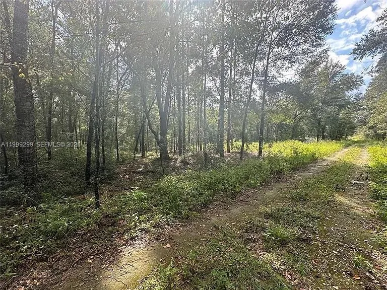 SW 153rd AVE ocala, FL 34481