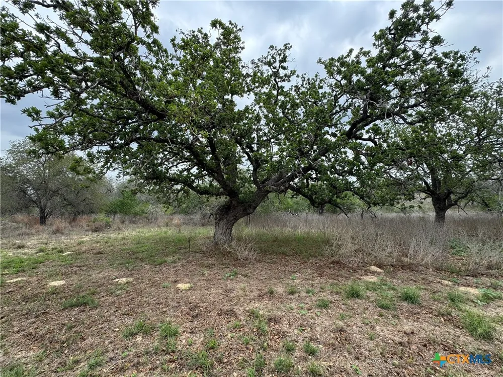 263 County Road 7812 Natalia, TX 78059
