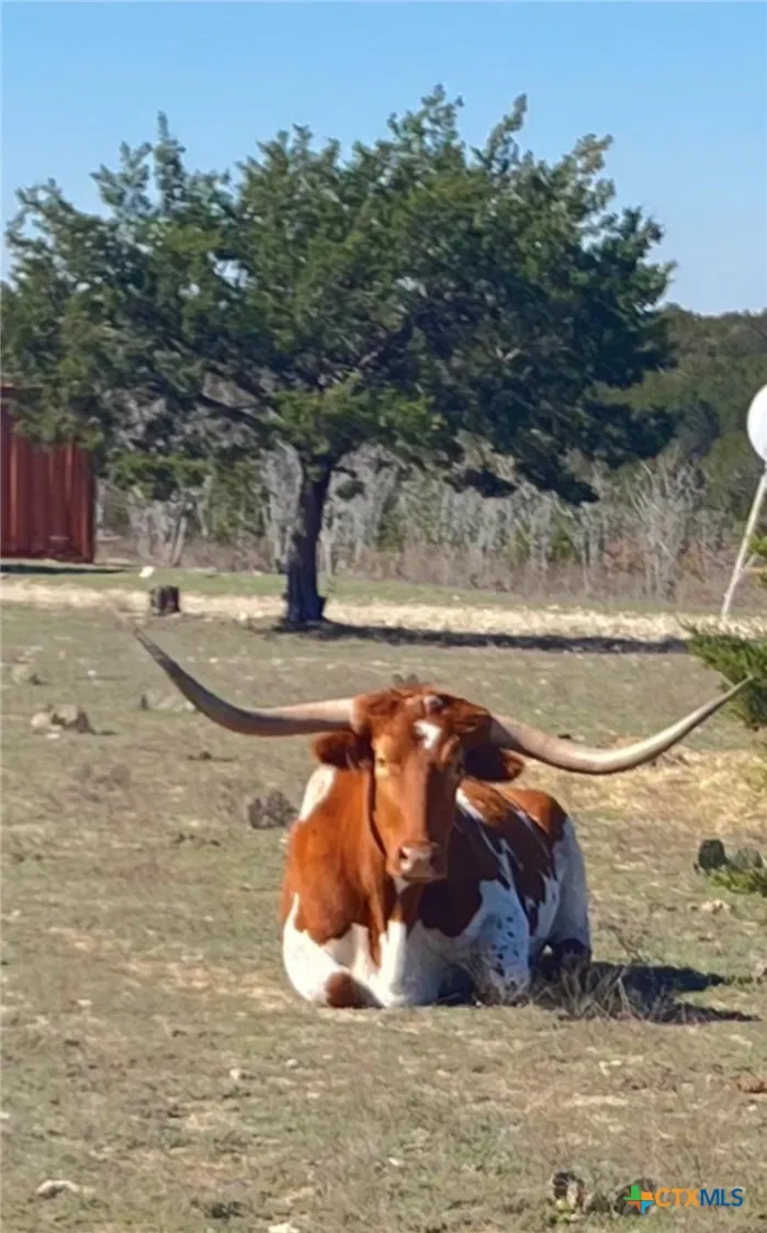1784 County Road 610 Hamilton, TX 76531