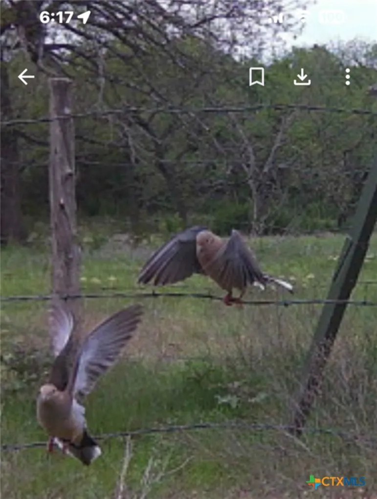 1784 County Road 610 Hamilton, TX 76531
