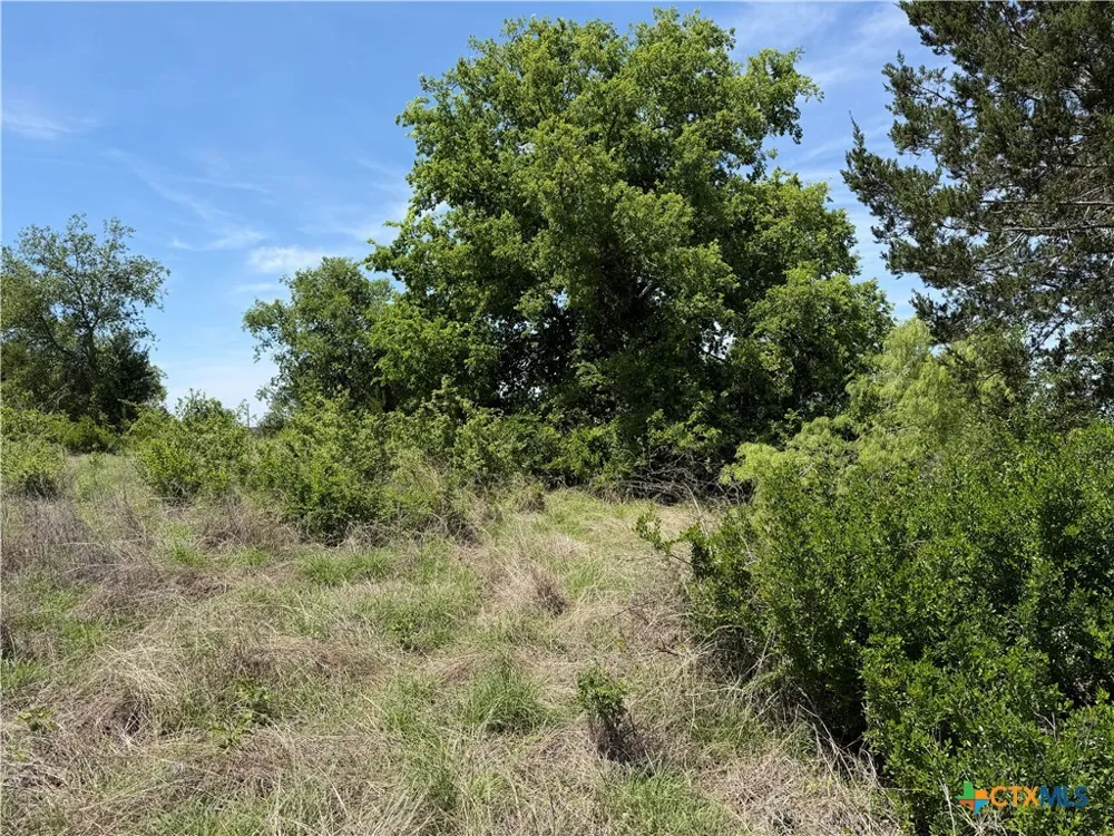 PR 3033 Hamilton, TX 76531