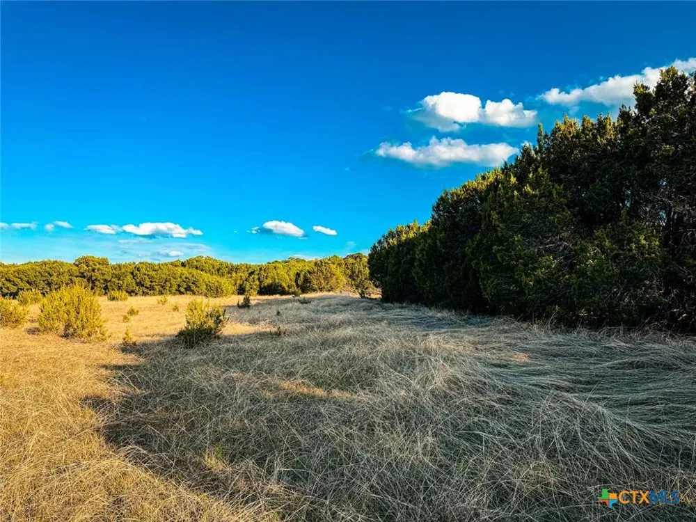 601 CR 60 Gatesville, TX 76528