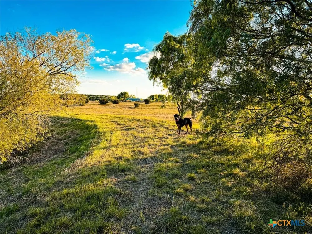 601 CR 60 Gatesville, TX 76528