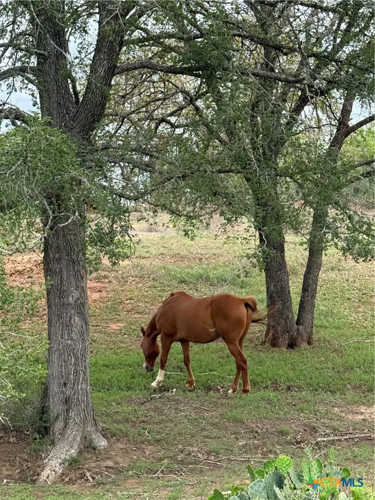 950 Highsmith Road Luling, TX 78648