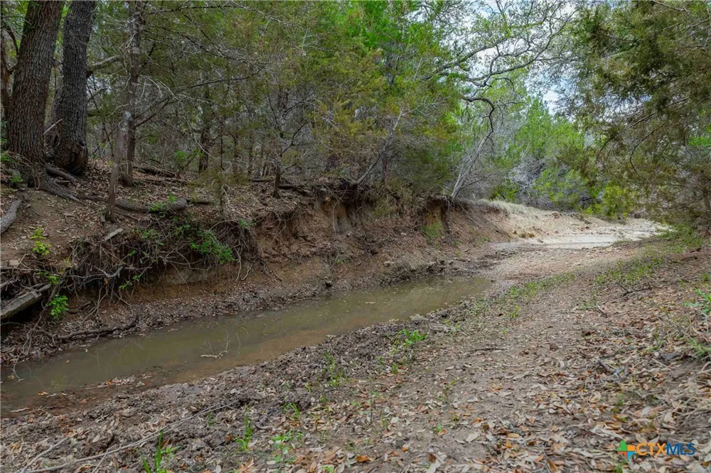910 Abbey Road Liberty Hill, TX 78642