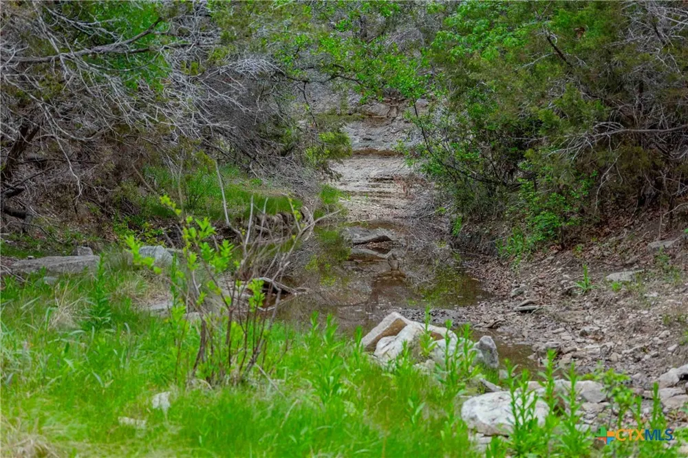 910 Abbey Road Liberty Hill, TX 78642
