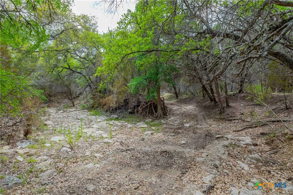 910 Abbey Road Liberty Hill, TX 78642