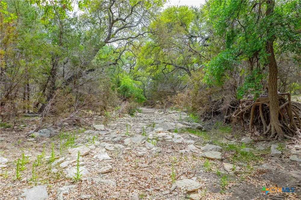 910 Abbey Road Liberty Hill, TX 78642