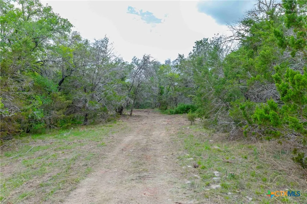 910 Abbey Road Liberty Hill, TX 78642
