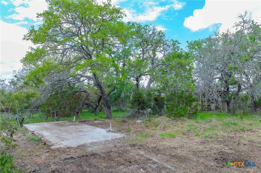 910 Abbey Road Liberty Hill, TX 78642