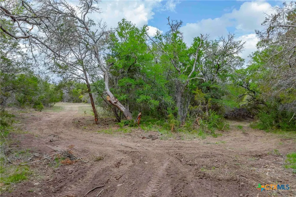 910 Abbey Road Liberty Hill, TX 78642
