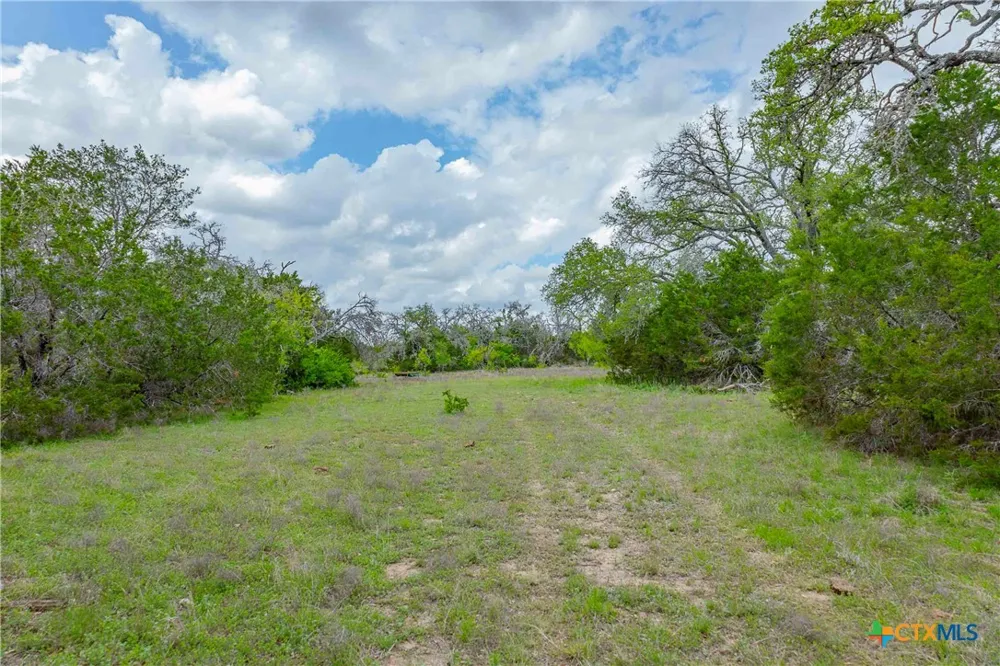 910 Abbey Road Liberty Hill, TX 78642