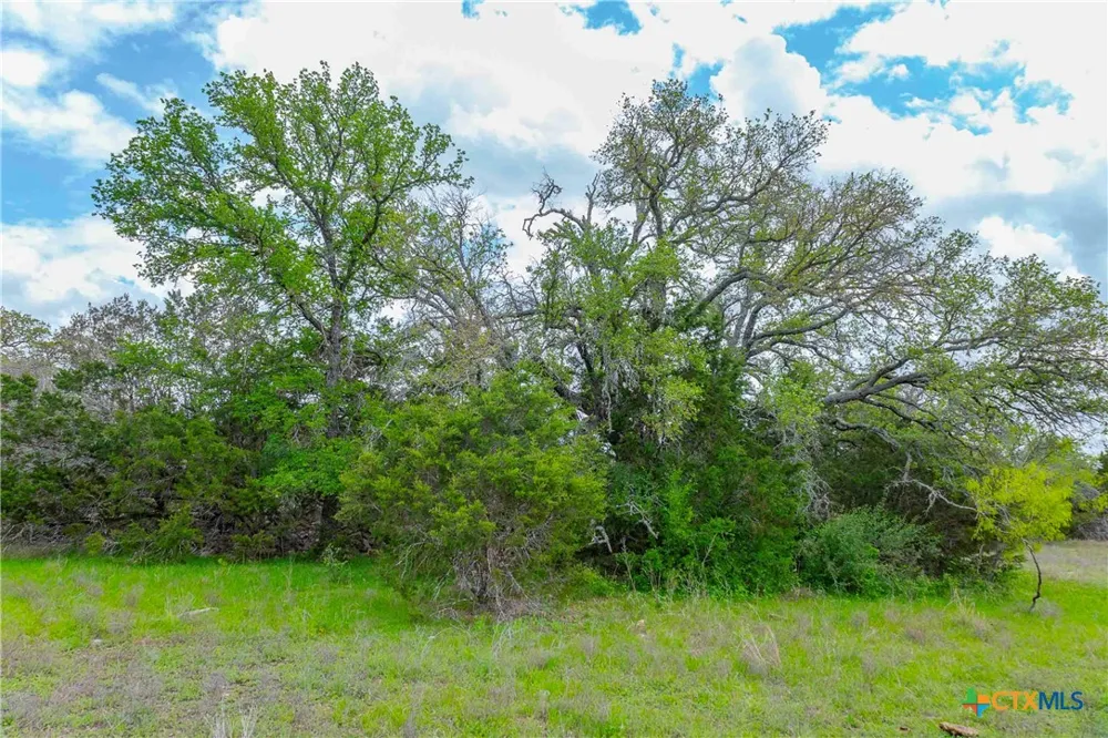 910 Abbey Road Liberty Hill, TX 78642