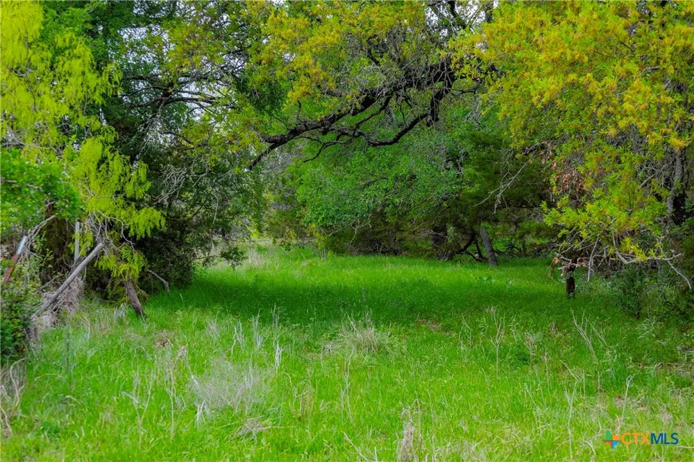 910 Abbey Road Liberty Hill, TX 78642