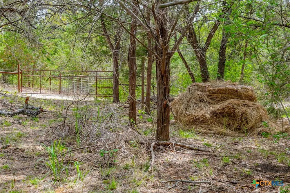 910 Abbey Road Liberty Hill, TX 78642