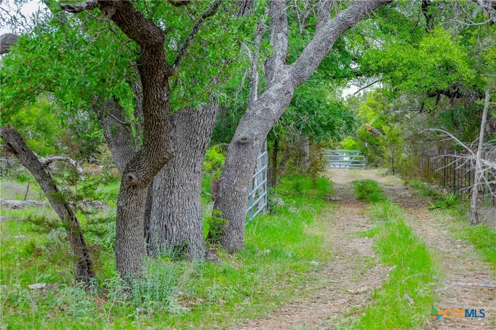 910 Abbey Road Liberty Hill, TX 78642