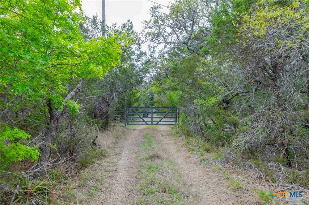 910 Abbey Road Liberty Hill, TX 78642