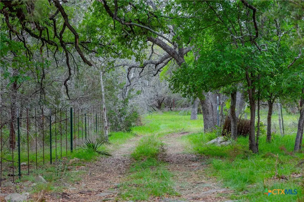 910 Abbey Road Liberty Hill, TX 78642