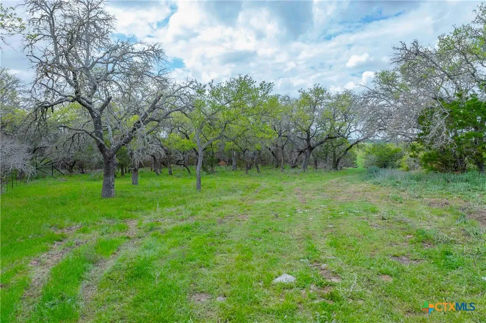 910 Abbey Road Liberty Hill, TX 78642