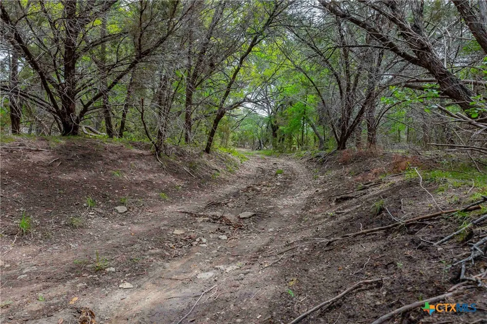 910 Abbey Road Liberty Hill, TX 78642